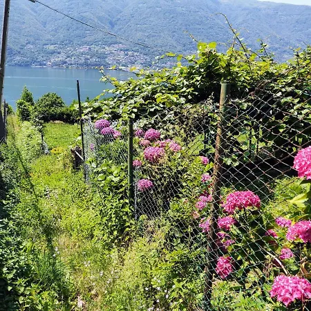 Locazione Turistica Monastero Tatil Evi Dervio